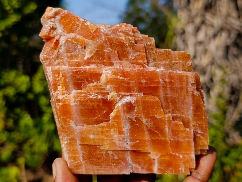 Natural Rhombohedral Sunset Orange Calcite Specimens x 6 From Spitzkop, Namibia - Toprock Gemstones and Minerals 
