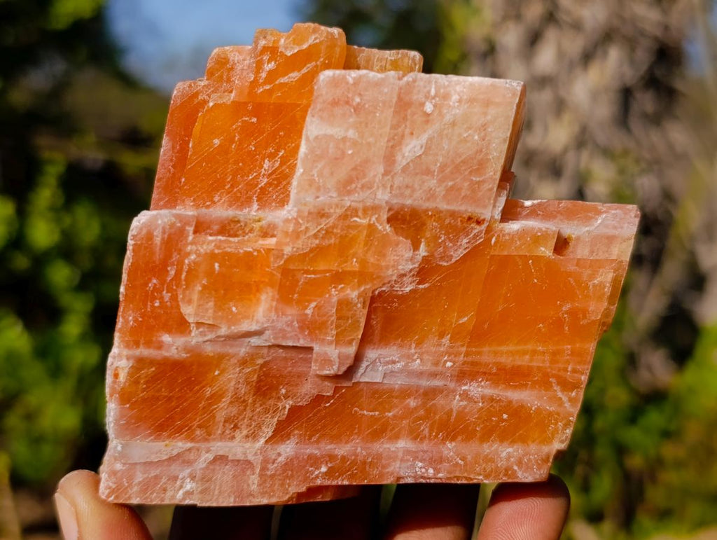 Natural Rhombohedral Sunset Orange Calcite Specimens x 6 From Spitzkop, Namibia - Toprock Gemstones and Minerals 
