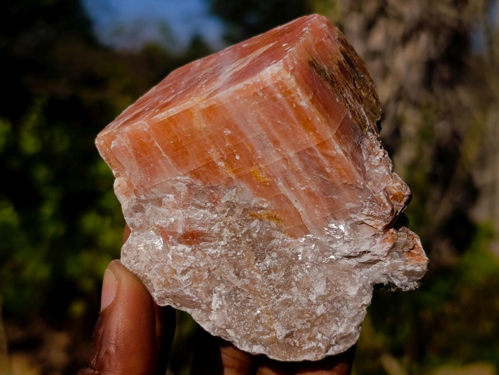 Natural Rhombohedral Sunset Orange Calcite Specimens x 6 From Spitzkop, Namibia - Toprock Gemstones and Minerals 