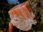 Natural Rhombohedral Sunset Orange Calcite Specimens x 6 From Spitzkop, Namibia - Toprock Gemstones and Minerals 