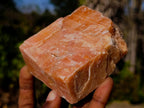 Natural Rhombohedral Sunset Orange Calcite Specimens x 6 From Spitzkop, Namibia - Toprock Gemstones and Minerals 