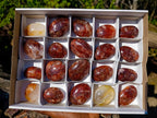 Polished Mini Red Hematoid Quartz Palm Stones x 20 From Ambatondrazaka, Madagascar - Toprock Gemstones and Minerals 