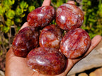 Polished Mini Red Hematoid Quartz Palm Stones x 20 From Ambatondrazaka, Madagascar - Toprock Gemstones and Minerals 