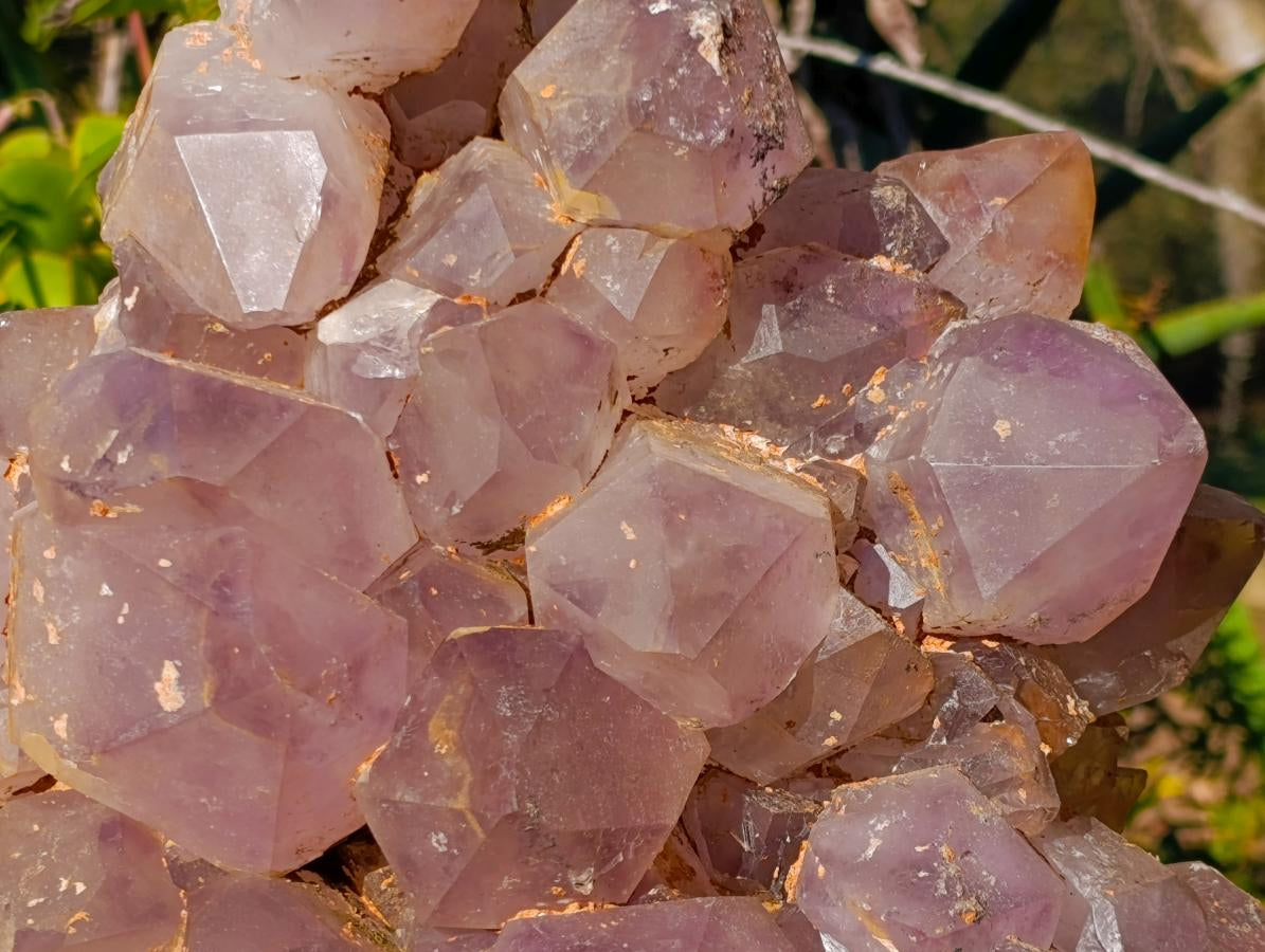 Natural XL Jacaranda Amethyst Cluster x 1 From Mumbwa, Zambia - Toprock Gemstones and Minerals 