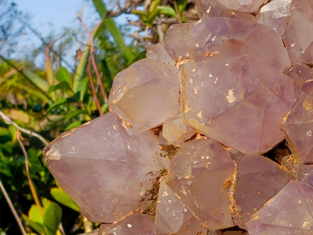Natural XL Jacaranda Amethyst Cluster x 1 From Mumbwa, Zambia - Toprock Gemstones and Minerals 