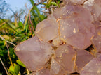 Natural XL Jacaranda Amethyst Cluster x 1 From Mumbwa, Zambia - Toprock Gemstones and Minerals 