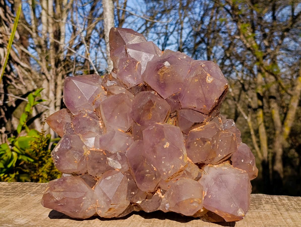 Natural XL Jacaranda Amethyst Cluster x 1 From Mumbwa, Zambia - Toprock Gemstones and Minerals 