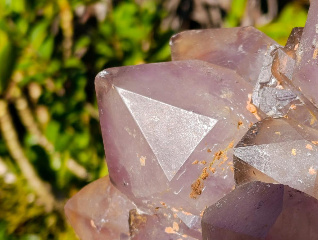 Natural XL Jacaranda Amethyst Cluster x 1 From Mumbwa, Zambia - Toprock Gemstones and Minerals 