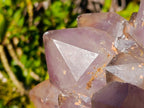 Natural XL Jacaranda Amethyst Cluster x 1 From Mumbwa, Zambia - Toprock Gemstones and Minerals 