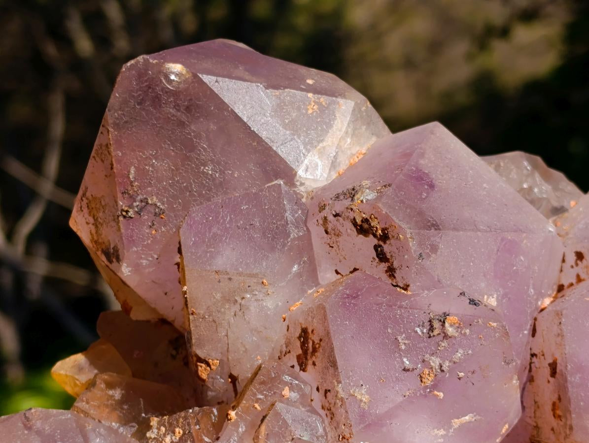 Natural XL Jacaranda Amethyst Cluster x 1 From Mumbwa, Zambia - Toprock Gemstones and Minerals 