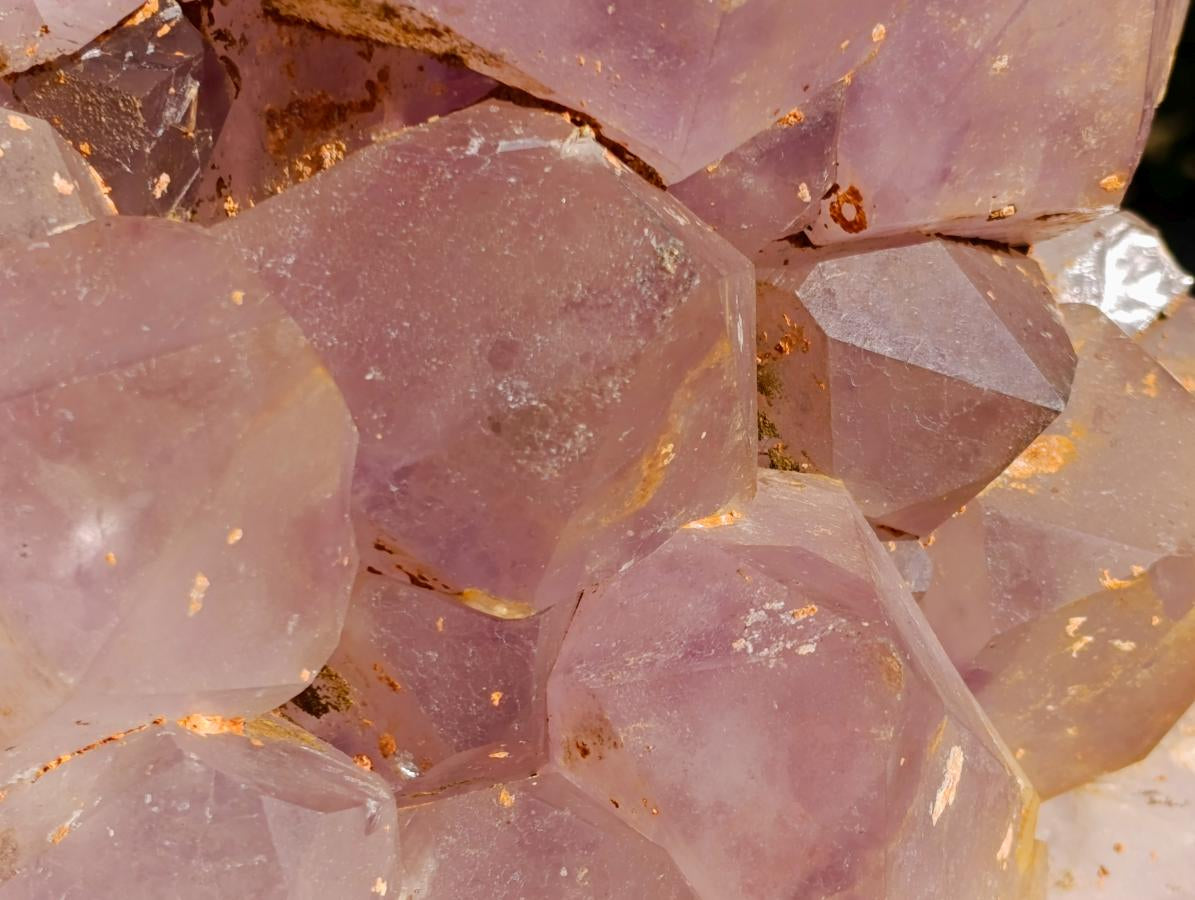 Natural XL Jacaranda Amethyst Cluster x 1 From Mumbwa, Zambia - Toprock Gemstones and Minerals 