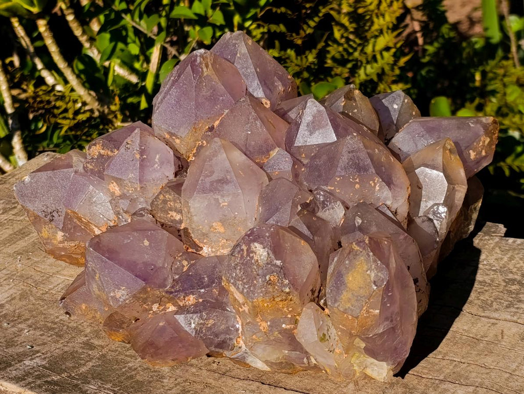 Natural XL Jacaranda Amethyst Cluster x 1 From Mumbwa, Zambia - Toprock Gemstones and Minerals 