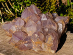 Natural XL Jacaranda Amethyst Cluster x 1 From Mumbwa, Zambia - Toprock Gemstones and Minerals 