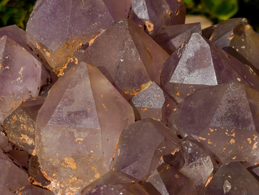 Natural XL Jacaranda Amethyst Cluster x 1 From Mumbwa, Zambia - Toprock Gemstones and Minerals 
