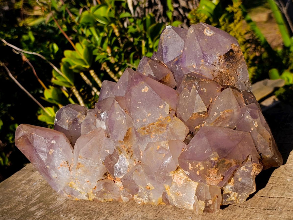 Natural XL Jacaranda Amethyst Cluster x 1 From Mumbwa, Zambia - Toprock Gemstones and Minerals 