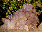 Natural XL Jacaranda Amethyst Cluster x 1 From Mumbwa, Zambia - Toprock Gemstones and Minerals 