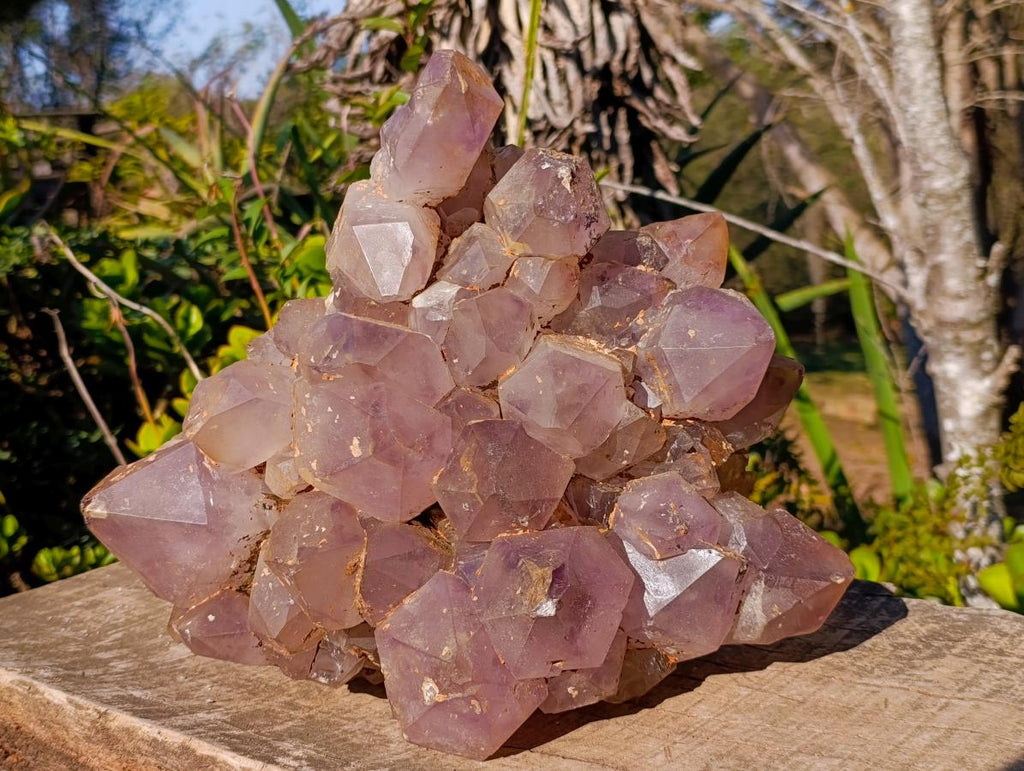 Natural XL Jacaranda Amethyst Cluster x 1 From Mumbwa, Zambia - Toprock Gemstones and Minerals 