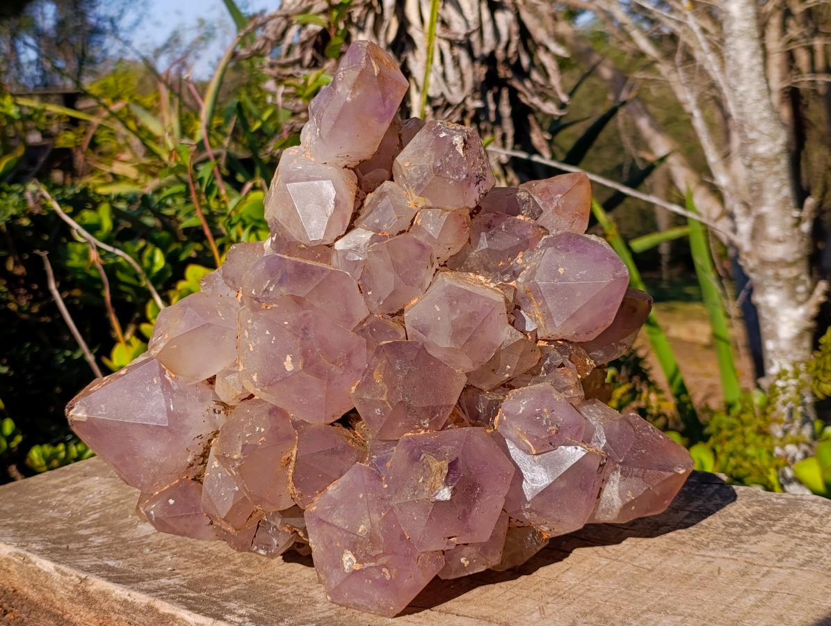 Natural XL Jacaranda Amethyst Cluster x 1 From Mumbwa, Zambia - Toprock Gemstones and Minerals 