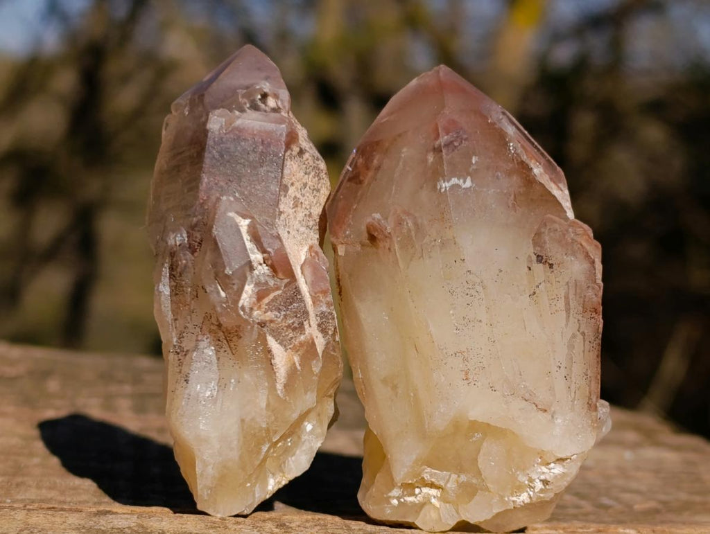 Natural Red Hematoid Quartz Crystals x 35 From Karoi, Zimbabwe - Toprock Gemstones and Minerals 