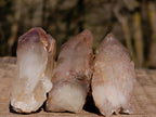Natural Red Hematoid Quartz Crystals x 35 From Karoi, Zimbabwe - Toprock Gemstones and Minerals 