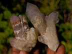 Natural Red Hematoid Quartz Crystals x 35 From Karoi, Zimbabwe - Toprock Gemstones and Minerals 
