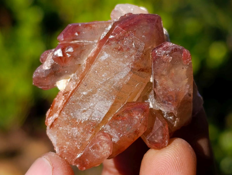 Natural Red Hematoid Quartz Crystals x 35 From Karoi, Zimbabwe - Toprock Gemstones and Minerals 