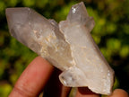 Natural Red Hematoid Quartz Crystals x 35 From Karoi, Zimbabwe - Toprock Gemstones and Minerals 