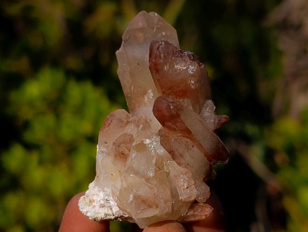 Natural Red Hematoid Quartz Crystals x 35 From Karoi, Zimbabwe - Toprock Gemstones and Minerals 