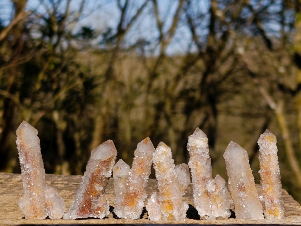 Natural Drusy Fairy Spirit Quartz Single Crystals x 70 From Boekenhouthoek, South Africa - Toprock Gemstones and Minerals 