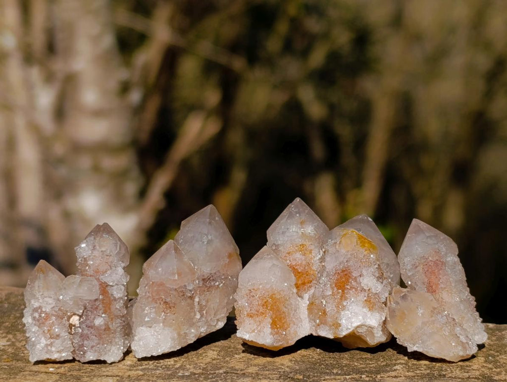 Natural Drusy Fairy Spirit Quartz Single Crystals x 70 From Boekenhouthoek, South Africa - Toprock Gemstones and Minerals 