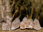 Natural Drusy Fairy Spirit Quartz Single Crystals x 70 From Boekenhouthoek, South Africa - Toprock Gemstones and Minerals 