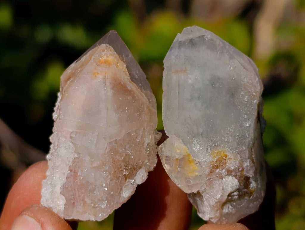 Natural Drusy Fairy Spirit Quartz Single Crystals x 70 From Boekenhouthoek, South Africa - Toprock Gemstones and Minerals 