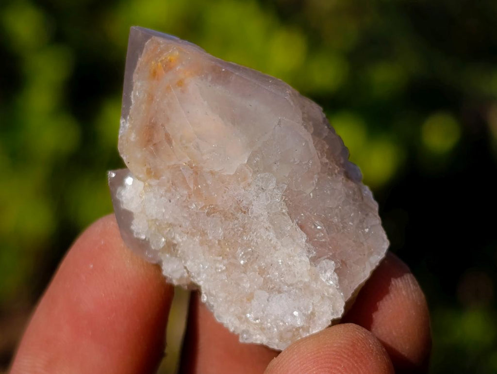 Natural Drusy Fairy Spirit Quartz Single Crystals x 70 From Boekenhouthoek, South Africa - Toprock Gemstones and Minerals 