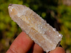 Natural Drusy Fairy Spirit Quartz Single Crystals x 70 From Boekenhouthoek, South Africa - Toprock Gemstones and Minerals 