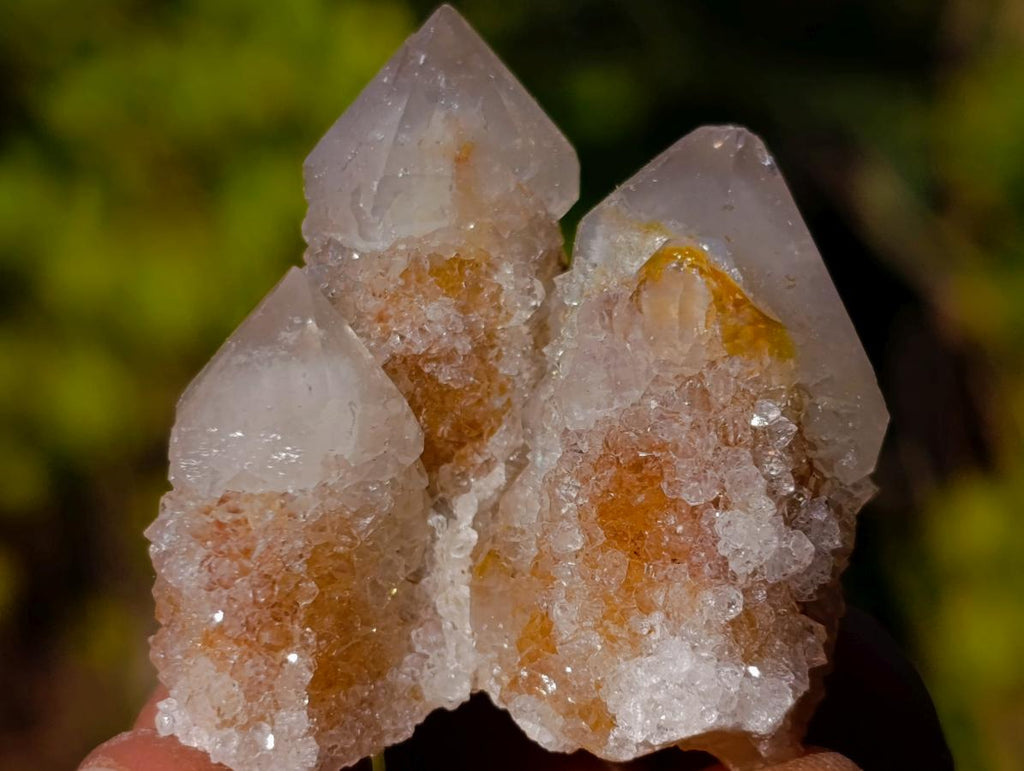 Natural Drusy Fairy Spirit Quartz Single Crystals x 70 From Boekenhouthoek, South Africa - Toprock Gemstones and Minerals 