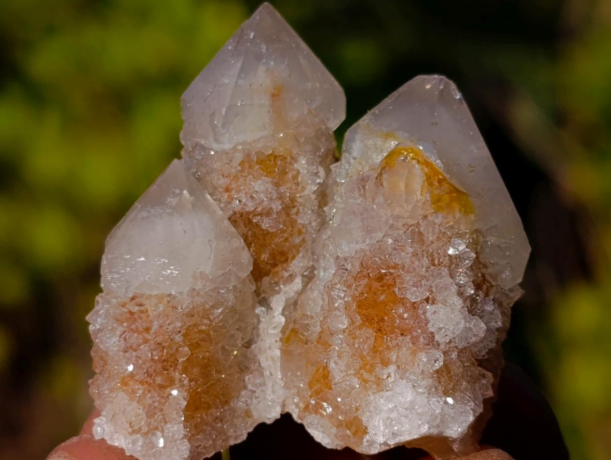 Natural Drusy Fairy Spirit Quartz Single Crystals x 70 From Boekenhouthoek, South Africa - Toprock Gemstones and Minerals 