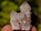 Natural Drusy Fairy Spirit Quartz Single Crystals x 70 From Boekenhouthoek, South Africa - Toprock Gemstones and Minerals 
