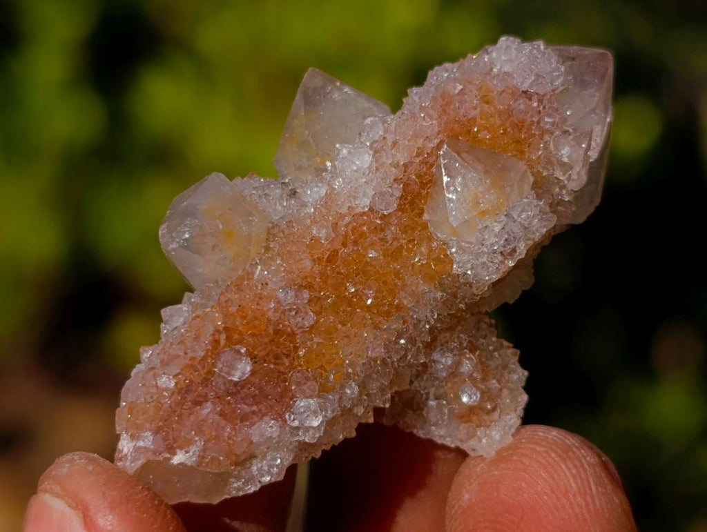 Natural Drusy Fairy Spirit Quartz Single Crystals x 70 From Boekenhouthoek, South Africa - Toprock Gemstones and Minerals 