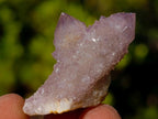 Natural Drusy Fairy Spirit Quartz Single Crystals x 70 From Boekenhouthoek, South Africa - Toprock Gemstones and Minerals 