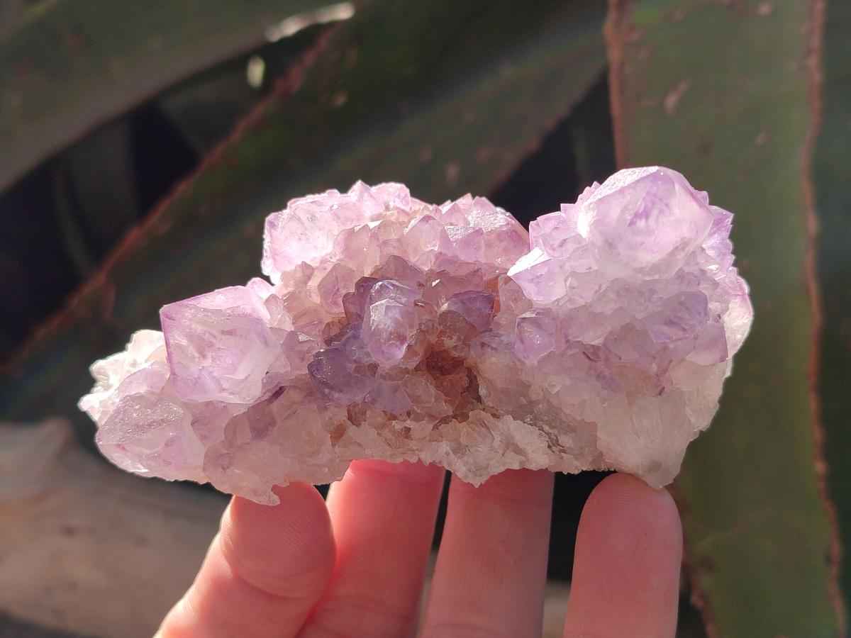 Natural Spirit Amethyst Clusters x 6 From Boekenhouthoek, South Africa - Toprock Gemstones and Minerals 