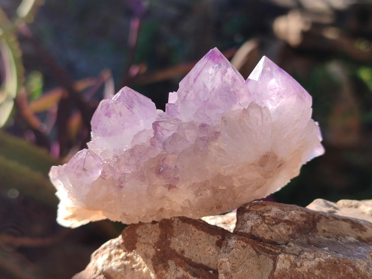 Natural Spirit Amethyst Clusters x 6 From Boekenhouthoek, South Africa - Toprock Gemstones and Minerals 