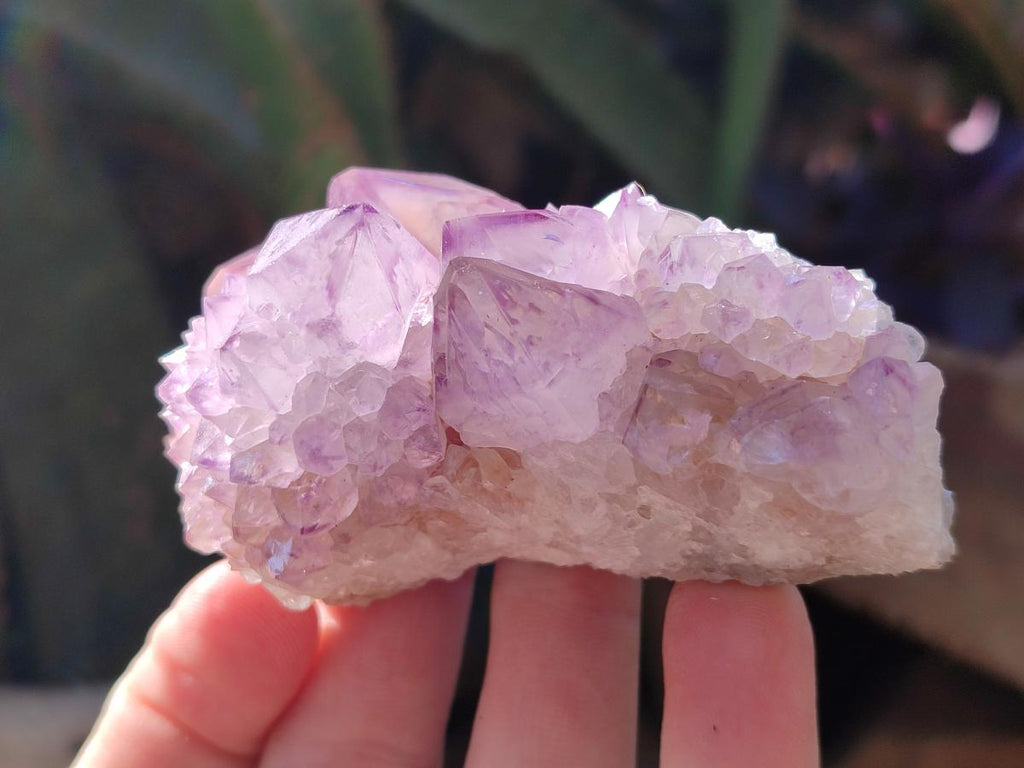 Natural Spirit Amethyst Clusters x 6 From Boekenhouthoek, South Africa - Toprock Gemstones and Minerals 