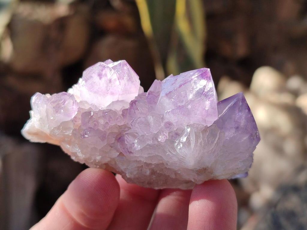 Natural Spirit Amethyst Clusters x 6 From Boekenhouthoek, South Africa - Toprock Gemstones and Minerals 