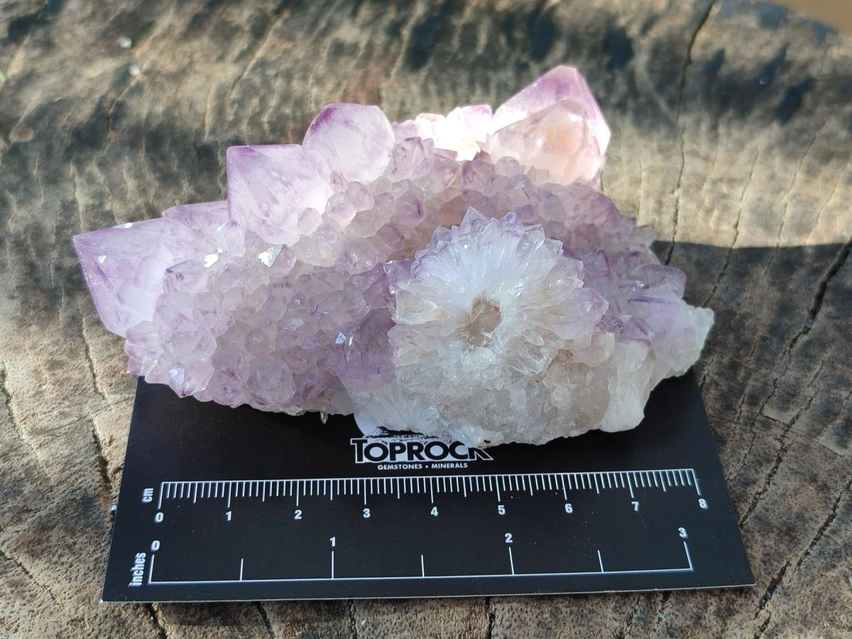 Natural Spirit Amethyst Clusters x 6 From Boekenhouthoek, South Africa - Toprock Gemstones and Minerals 