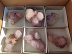 Natural Spirit Amethyst Clusters x 6 From Boekenhouthoek, South Africa - Toprock Gemstones and Minerals 