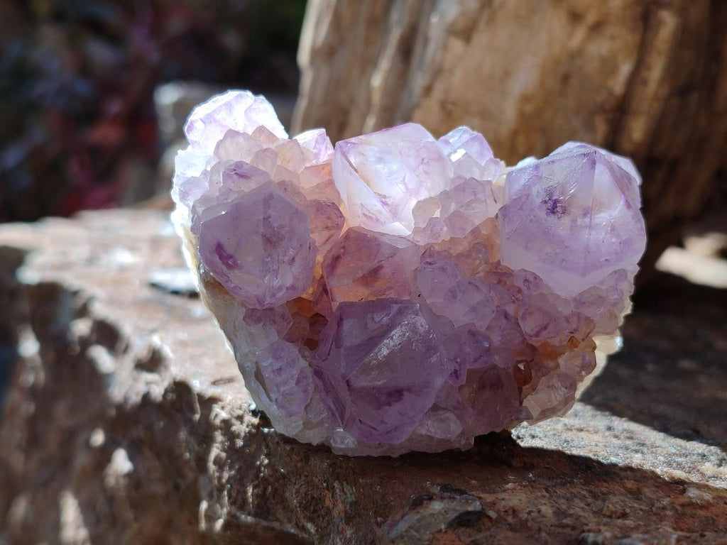 Natural Spirit Amethyst Clusters x 6 From Boekenhouthoek, South Africa - Toprock Gemstones and Minerals 