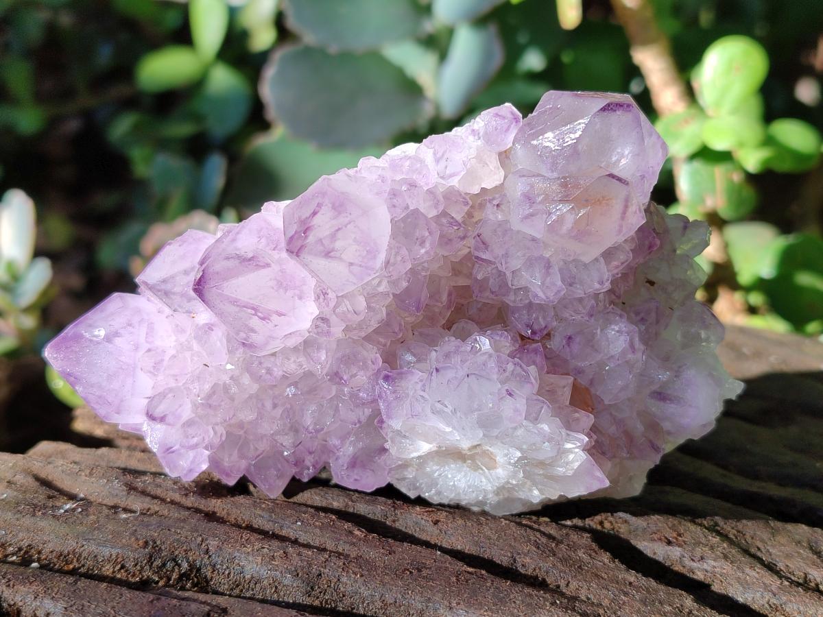 Natural Spirit Amethyst Clusters x 6 From Boekenhouthoek, South Africa - Toprock Gemstones and Minerals 
