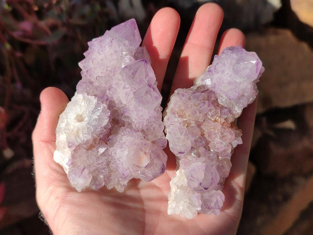 Natural Spirit Amethyst Clusters x 6 From Boekenhouthoek, South Africa - Toprock Gemstones and Minerals 