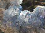 Natural Large Blue Celestite Specimen x 1 From Sakoany, Madagascar - Toprock Gemstones and Minerals 
