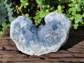 Natural Large Blue Celestite Specimen x 1 From Sakoany, Madagascar - Toprock Gemstones and Minerals 